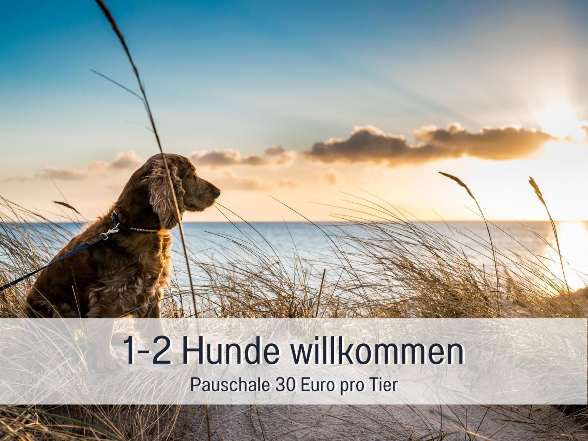 Penthouse - 3 Schlafzimmer- Sonnige Dachterrasse -Whirlpool & Alpenblick - Perfekt Fuer Romantik Oder Familienurlaub Mit Kind, Hund Willkommen - By Ferienwohnenamsee - Иберлинген Экстерьер фото