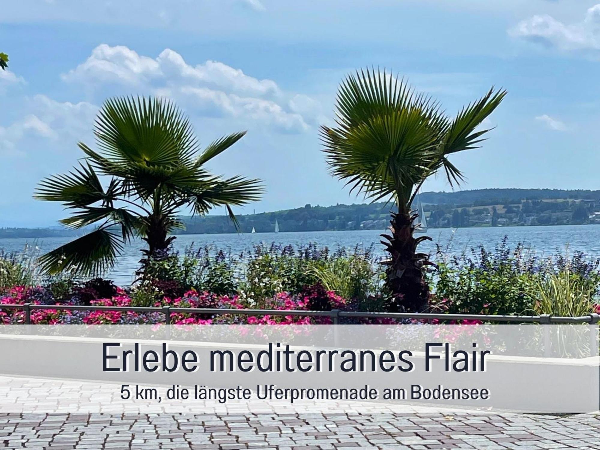 Penthouse - 3 Schlafzimmer- Sonnige Dachterrasse -Whirlpool & Alpenblick - Perfekt Fuer Romantik Oder Familienurlaub Mit Kind, Hund Willkommen - By Ferienwohnenamsee - Иберлинген Экстерьер фото