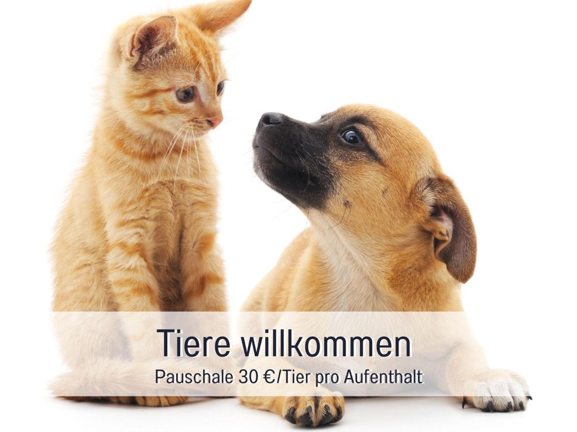 Penthouse - 3 Schlafzimmer- Sonnige Dachterrasse -Whirlpool & Alpenblick - Perfekt Fuer Romantik Oder Familienurlaub Mit Kind, Hund Willkommen - By Ferienwohnenamsee - Иберлинген Экстерьер фото